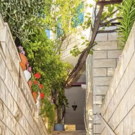 Allineeddubrovnik Choose Between Double Or Penthouse Or Free Parking Lejlighed Dubrovnik
