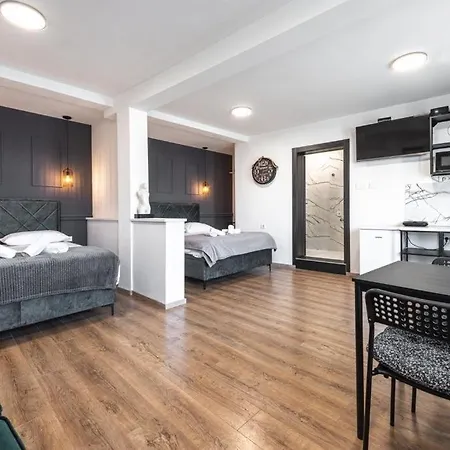 公寓 Allineeddubrovnik Choose Between Double Or Penthouse Or Free Parking *